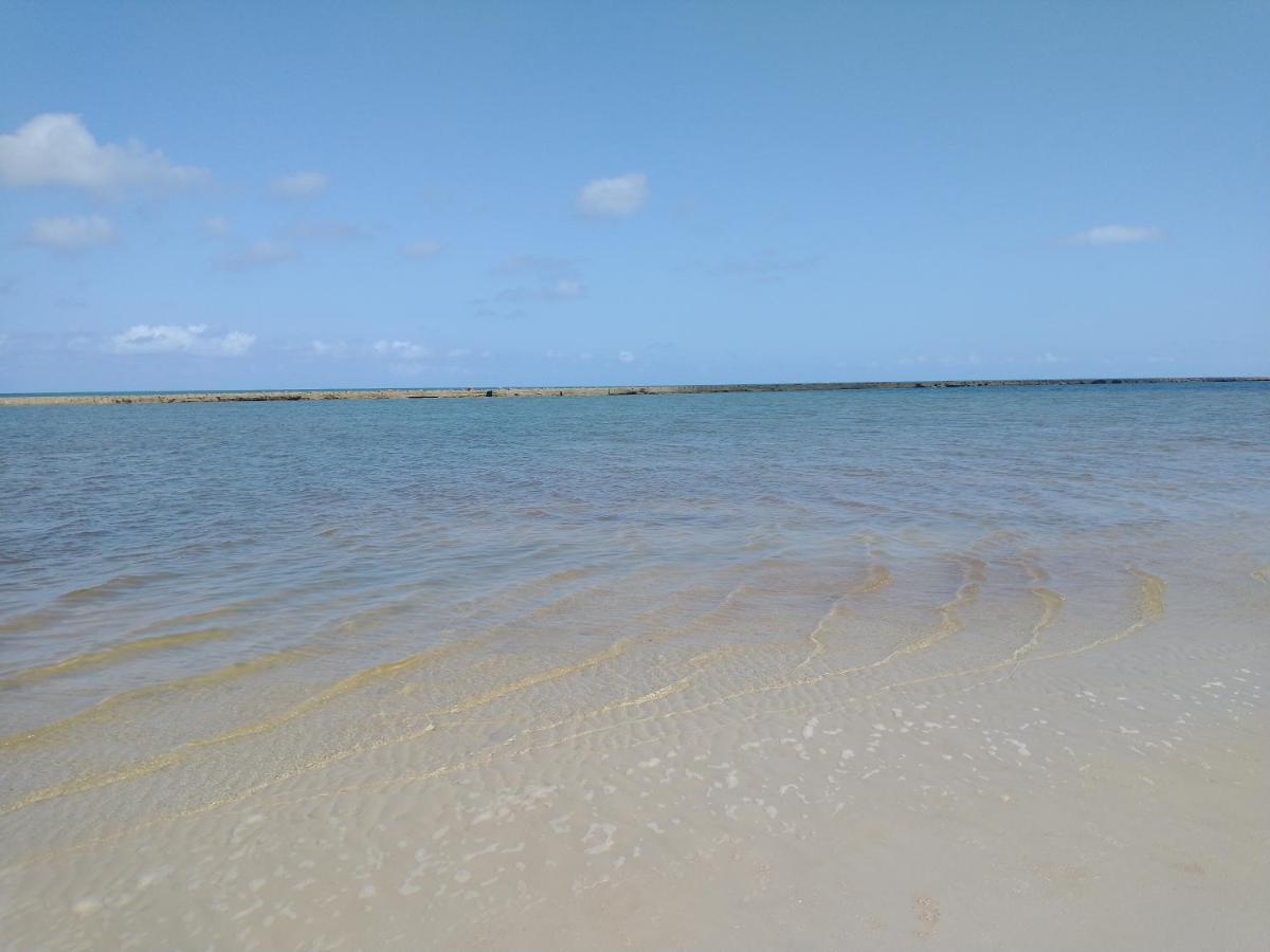Palm Village Acqua - Apartamento Premium - Em Frente A Piscina - Pôrto das Galinhas Eksteriør billede